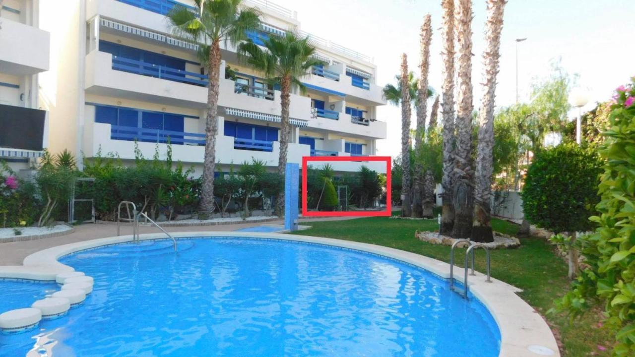 Coral House - La Calma - Playa Flamenca - Big Terrace & 4 Swimming Pools. Exterior foto
