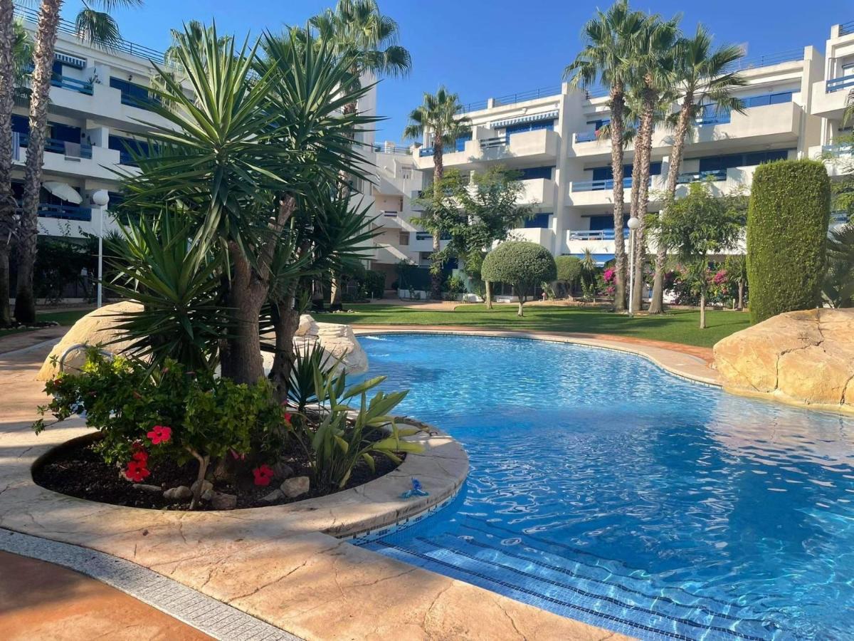 Coral House - La Calma - Playa Flamenca - Big Terrace & 4 Swimming Pools. Exterior foto