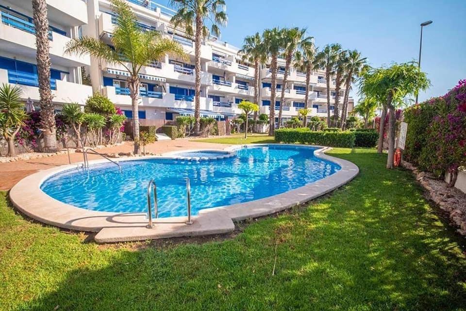 Coral House - La Calma - Playa Flamenca - Big Terrace & 4 Swimming Pools. Exterior foto